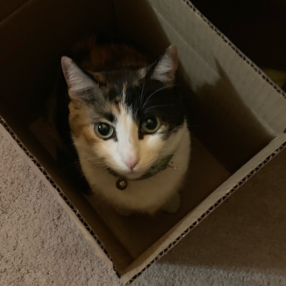 ๐บ๐ธMy Garden๐บ๐ธMy Babies๐บ๐ธ - Picture 7 of 16